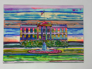 "White House in Colors"